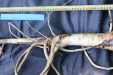Thumbnail IMG_3751.JPG 