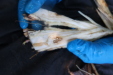 Thumbnail IMG_3755.JPG 