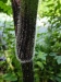 Thumbnail IMG20220709110939.jpg 