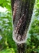 Thumbnail IMG20220709110942.jpg 