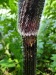 Thumbnail IMG20220709110945.jpg 
