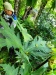 Thumbnail IMG20220709111010.jpg 