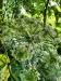 Thumbnail IMG20220709111014.jpg 