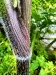 Thumbnail IMG20220709111027.jpg 