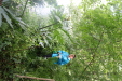 Thumbnail IMG_3801.JPG 