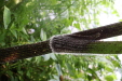Thumbnail IMG_3802.JPG 