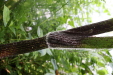 Thumbnail IMG_3803.JPG 