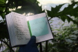 Thumbnail IMG_3808.JPG 