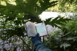 Thumbnail IMG_3809.JPG 