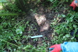 Thumbnail IMG_3815.JPG 