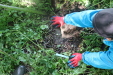 Thumbnail IMG_3816.JPG 