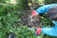 Thumbnail IMG_3817.JPG 
