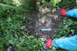 Thumbnail IMG_3818.JPG 