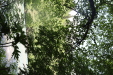 Thumbnail IMG_3821.JPG 