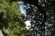Thumbnail IMG_3824.JPG 