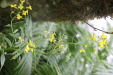 Thumbnail IMG_3826.JPG 