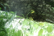 Thumbnail IMG_3827.JPG 