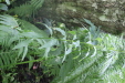 Thumbnail IMG_3828.JPG 