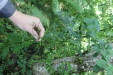 Thumbnail IMG_3838.JPG 
