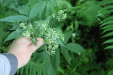 Thumbnail IMG_3845.JPG 