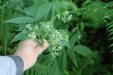 Thumbnail IMG_3846.JPG 