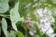 Thumbnail IMG_3852.JPG 