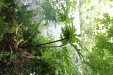 Thumbnail IMG_3855.JPG 