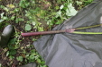 Thumbnail IMG_3856.JPG 