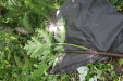 Thumbnail IMG_3861.JPG 