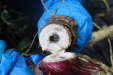 Thumbnail IMG_3911.JPG 