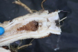 Thumbnail IMG_3912.JPG 