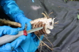 Thumbnail IMG_3917.JPG 