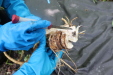 Thumbnail IMG_3918.JPG 