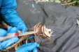 Thumbnail IMG_3919.JPG 