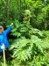 Thumbnail IMG20220709131329.jpg 