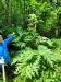 Thumbnail IMG20220709131331.jpg 