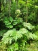 Thumbnail IMG20220709131355.jpg 
