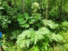 Thumbnail IMG20220709131357.jpg 