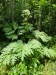 Thumbnail IMG20220709131410.jpg 