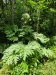 Thumbnail IMG20220709131427.jpg 