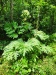 Thumbnail IMG20220709131432.jpg 