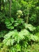 Thumbnail IMG20220709131435.jpg 