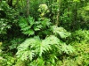 Thumbnail IMG20220709131441.jpg 