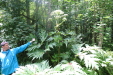 Thumbnail IMG_4087.JPG 
