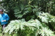 Thumbnail IMG_4088.JPG 