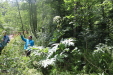 Thumbnail IMG_4090.JPG 