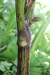 Thumbnail IMG_4101.JPG 