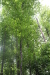 Thumbnail IMG_4113.JPG 