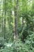 Thumbnail IMG_4114.JPG 