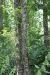 Thumbnail IMG_4115.JPG 